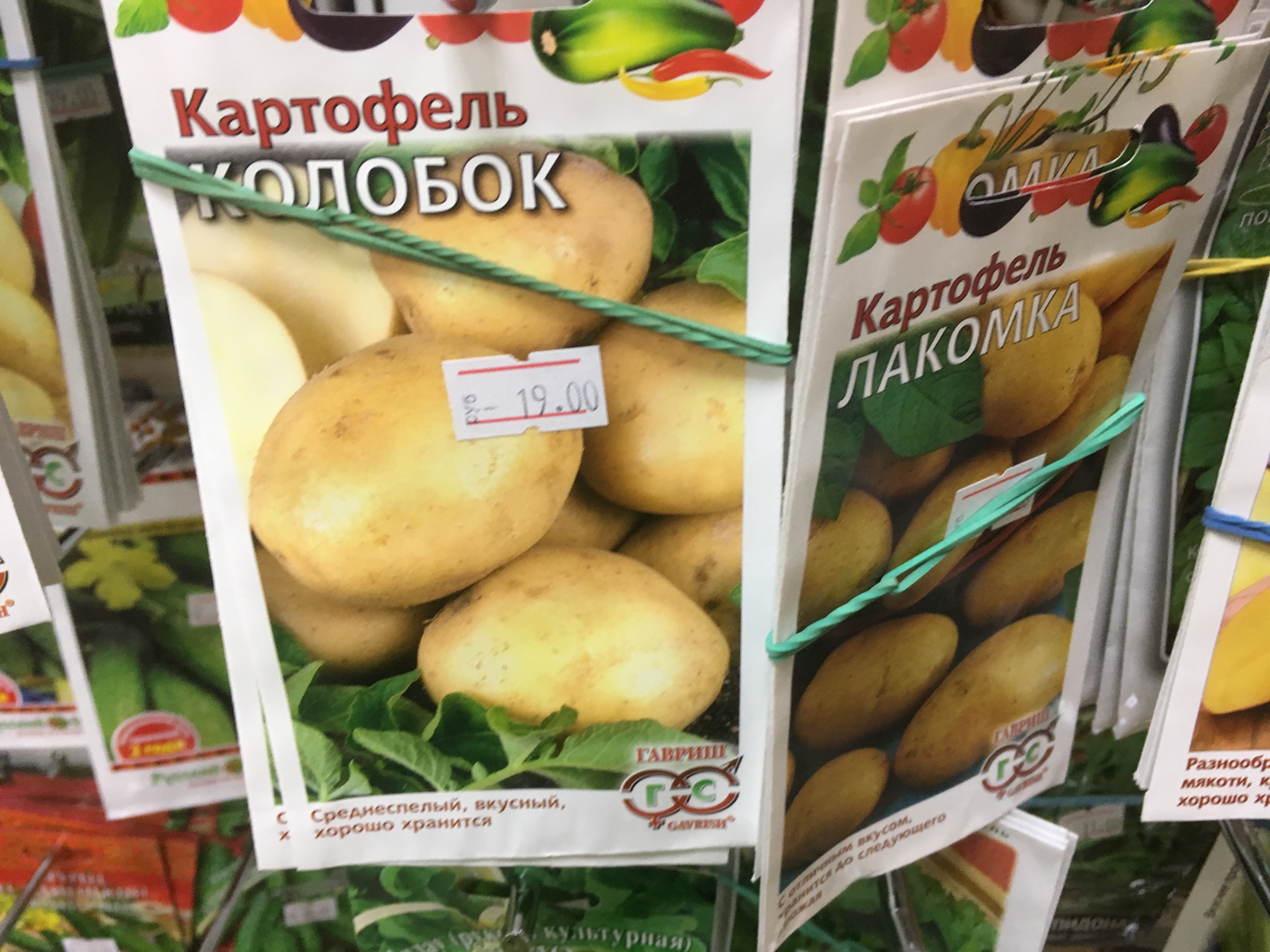 Семена картофеля в пакетах