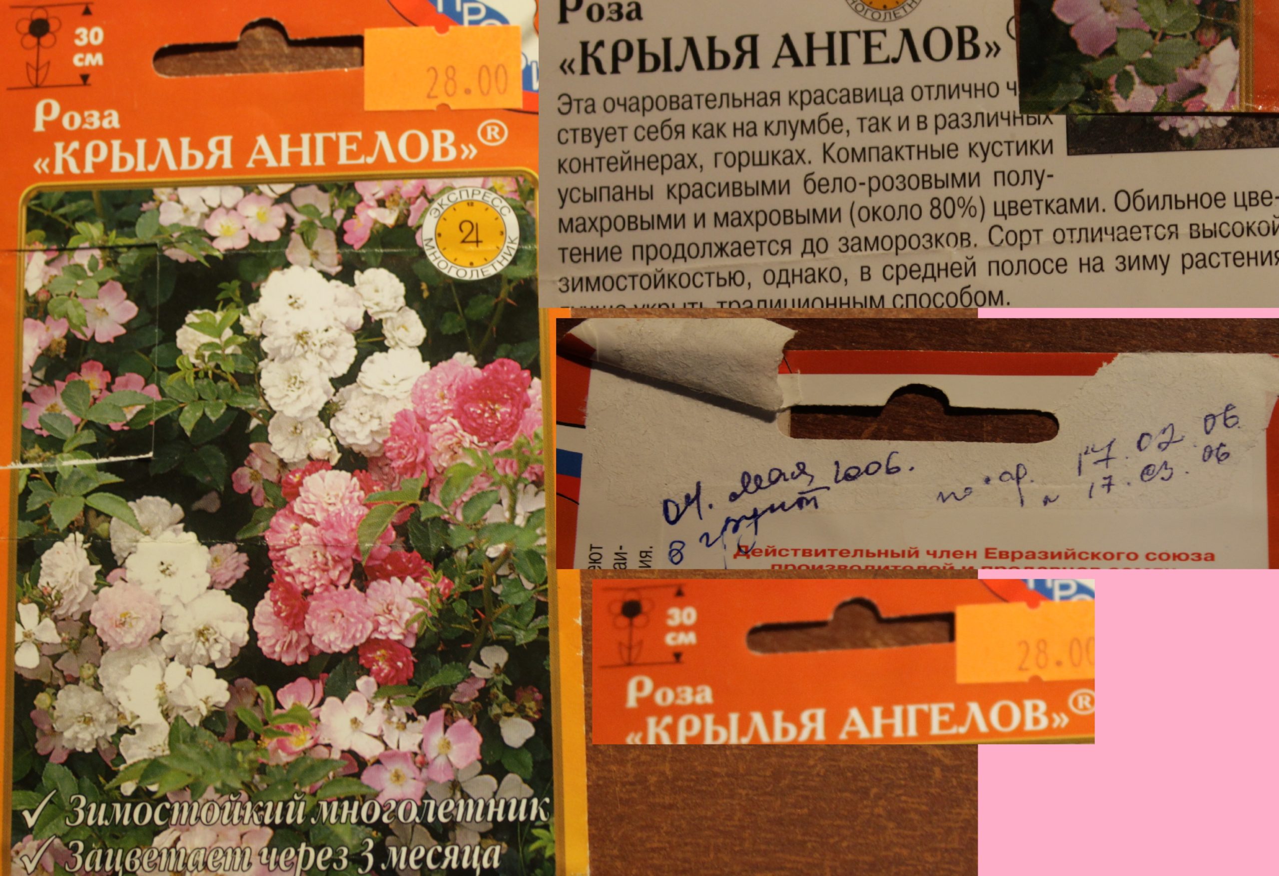 розу Крылья ангелов