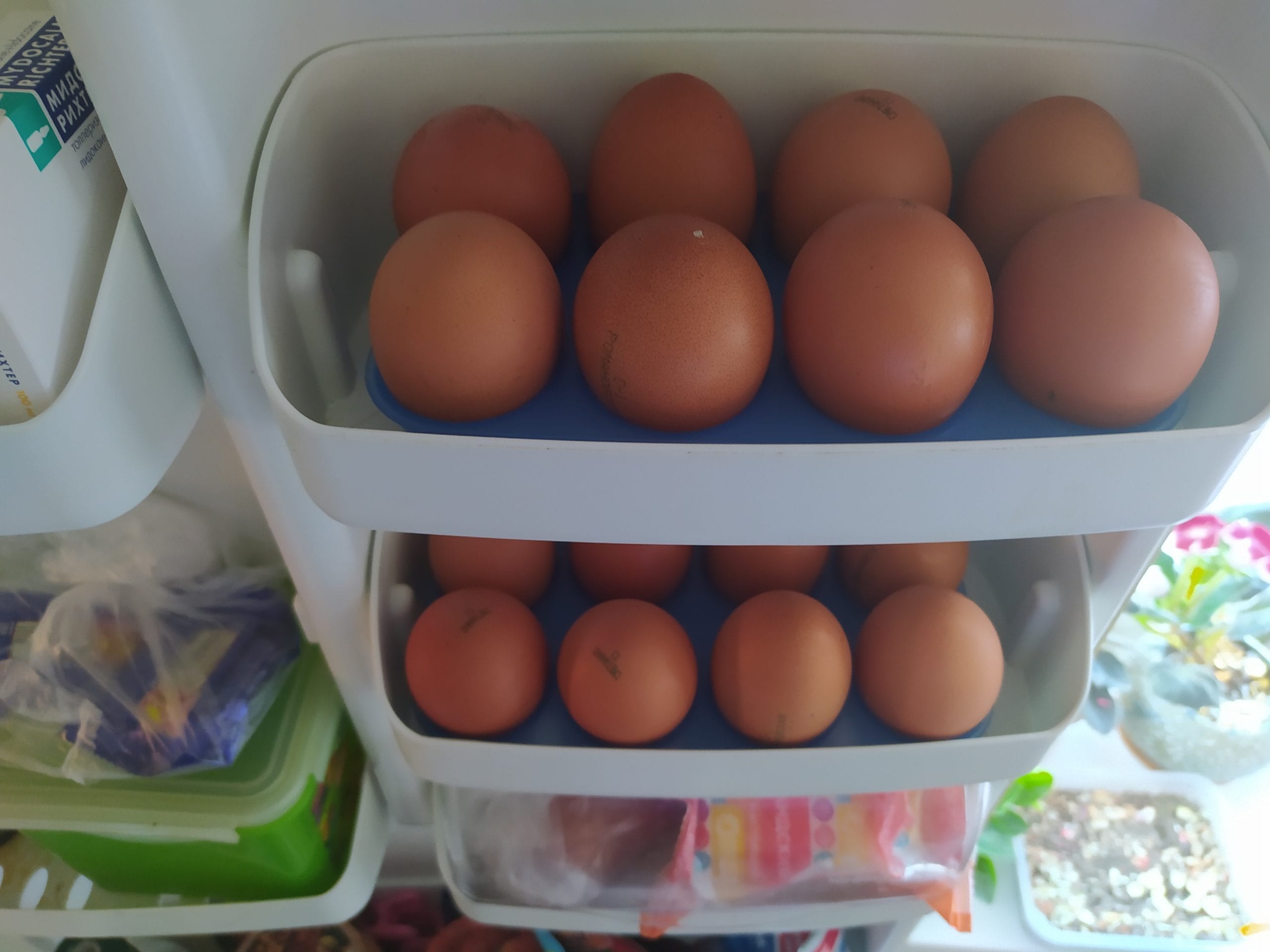 Мытые яйца можно хранить. Хранение яиц в холодильнике. Яйца в холодильнике. Яйцо куриное. Лоток для яиц в холодильник.