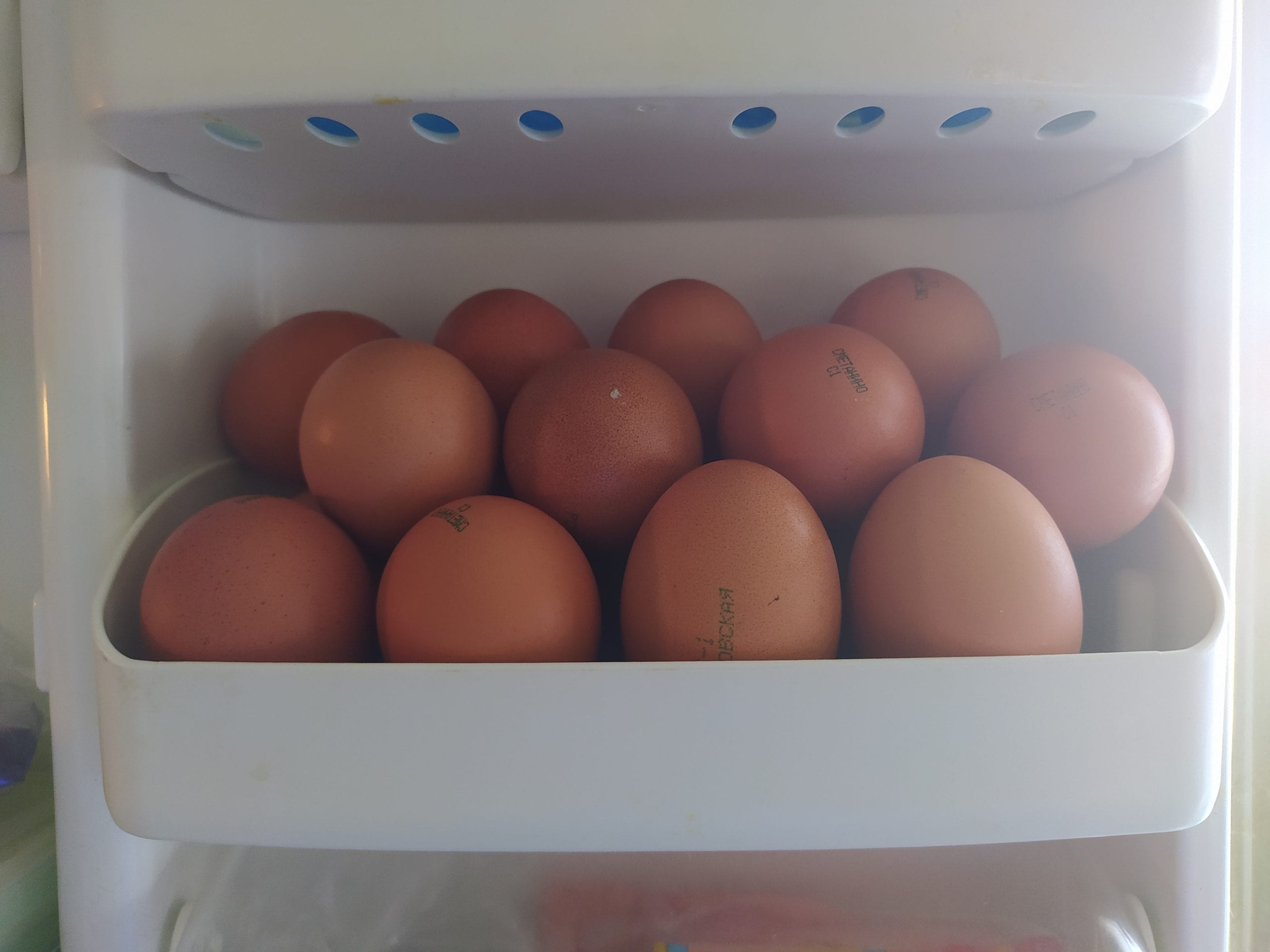 Сколько хранятся куриные яйца без холодильника. Яйца в холодильнике. Хранение яиц. Куриные яйца в холодильнике. Хранение яиц в холодильнике.
