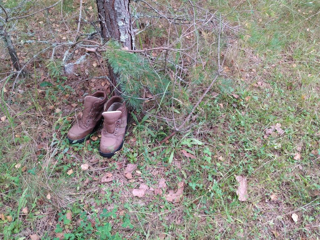 загадка: ботинки в лесу