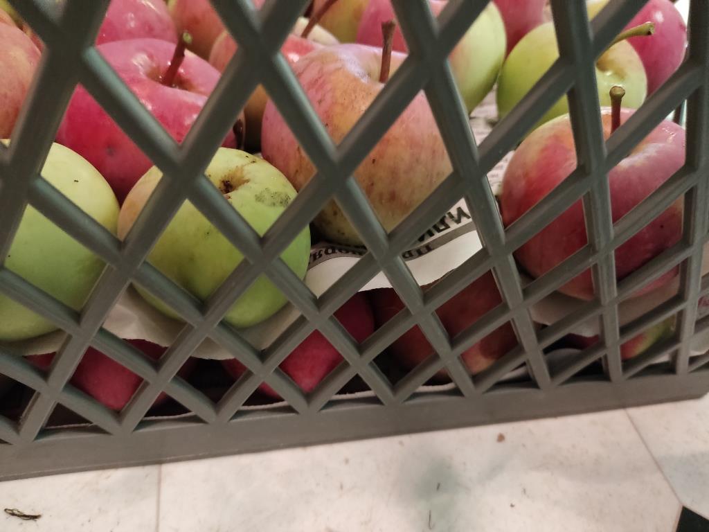 яблоки на хранение