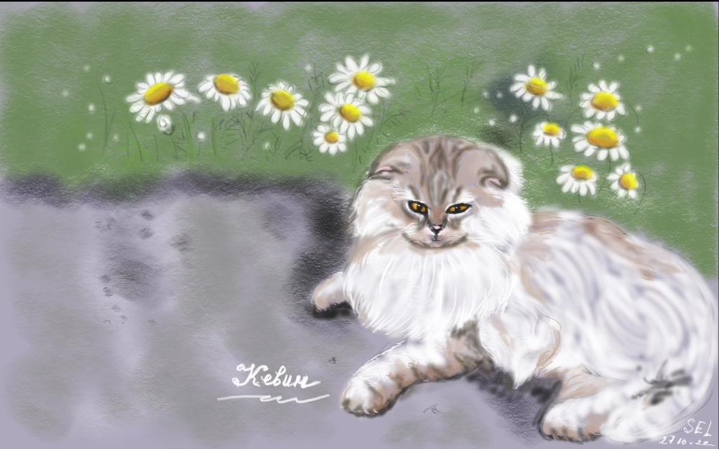 рисую котов