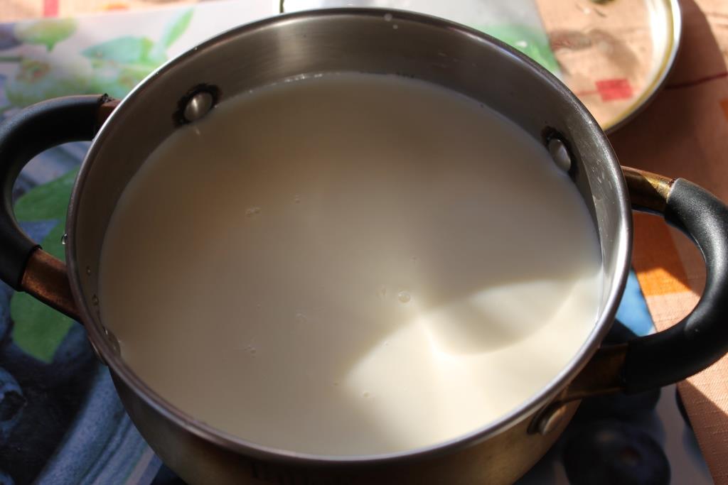 приготовить домашний сыр из молока