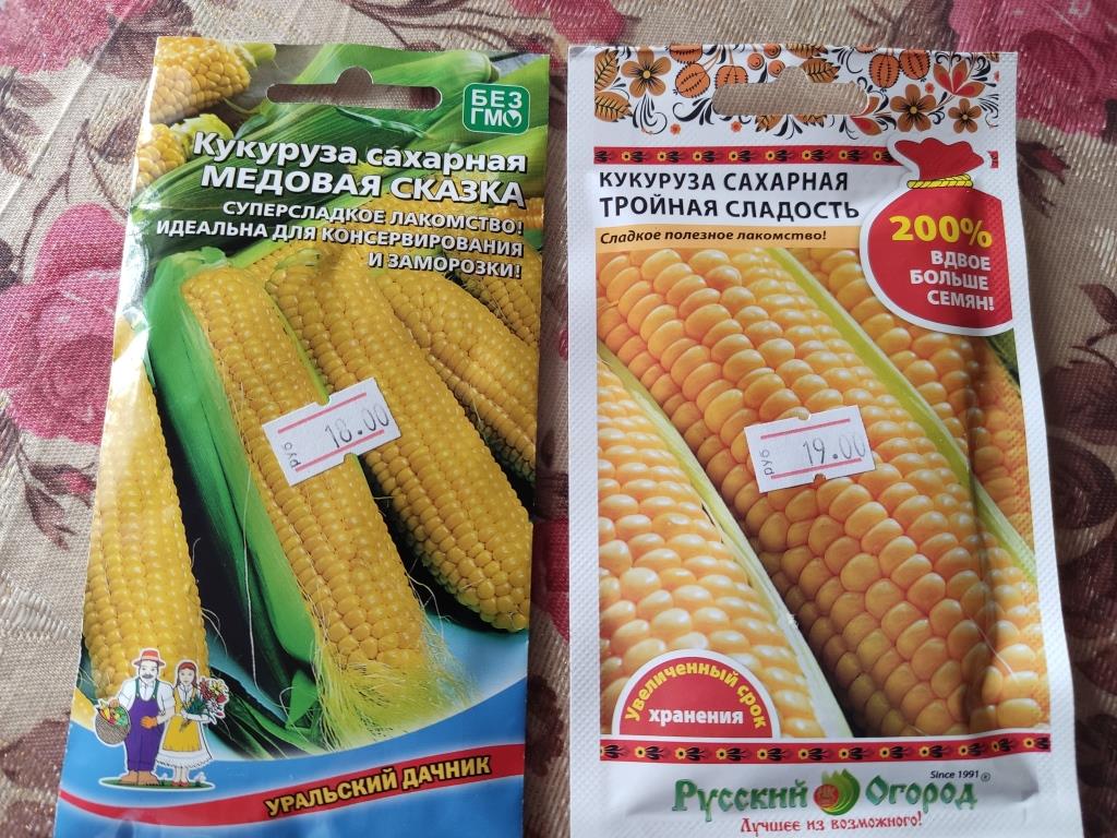 семенами кукурузы