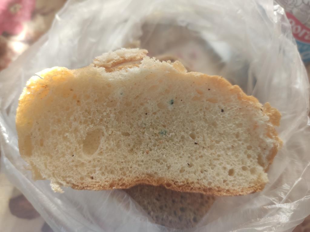 плесень на хлебе
