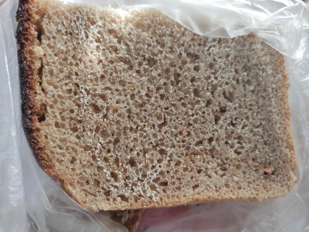 плесень на хлебе