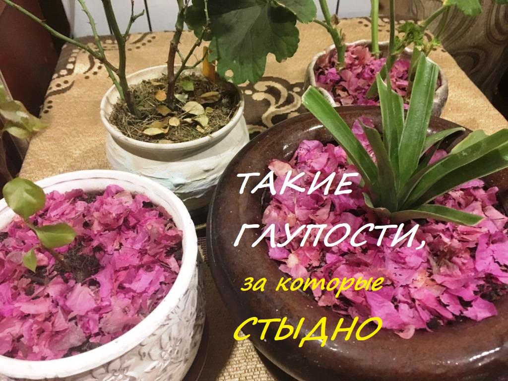 такие глупости