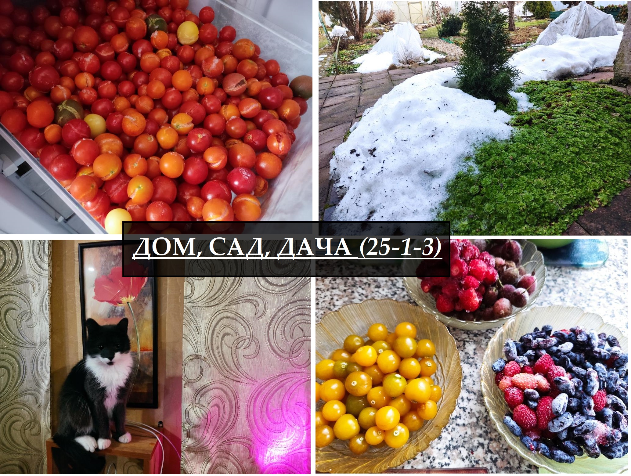 заморозку
