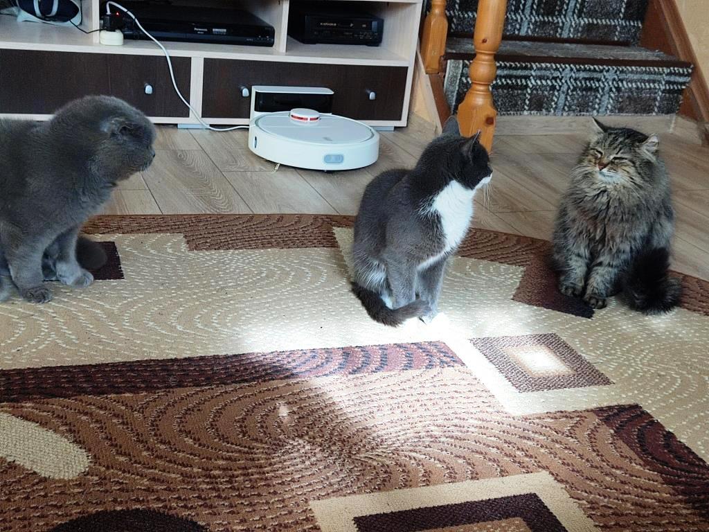 Тихон
