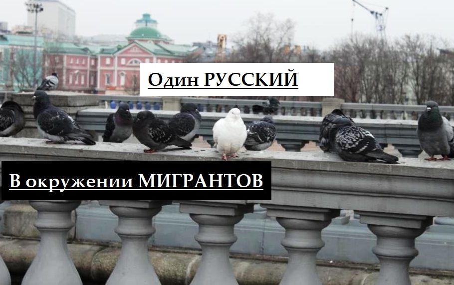 русский