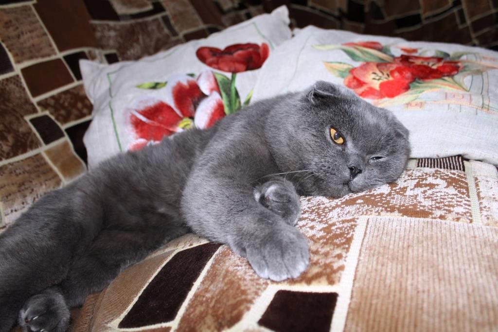 Тихон