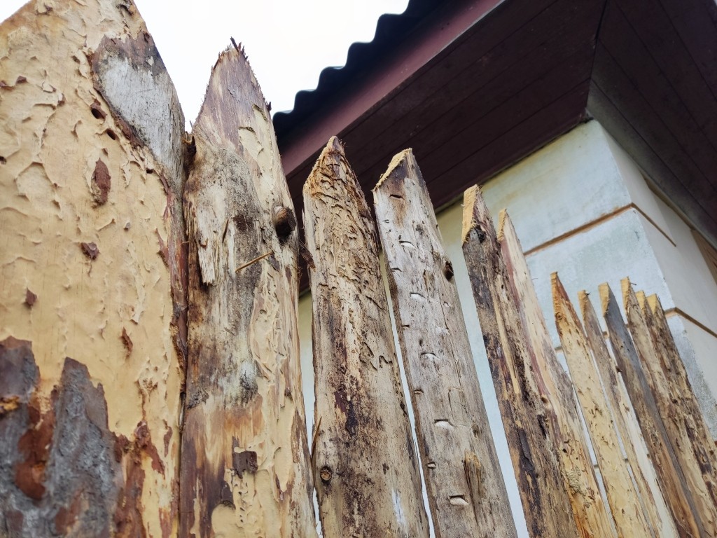 забор