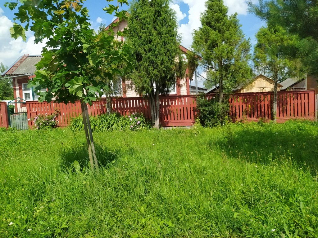 забор